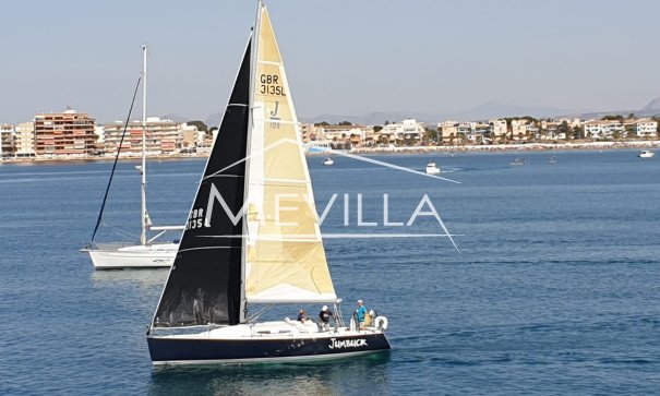 Apartamento - Alquileres - Torrevieja - Jumbuck