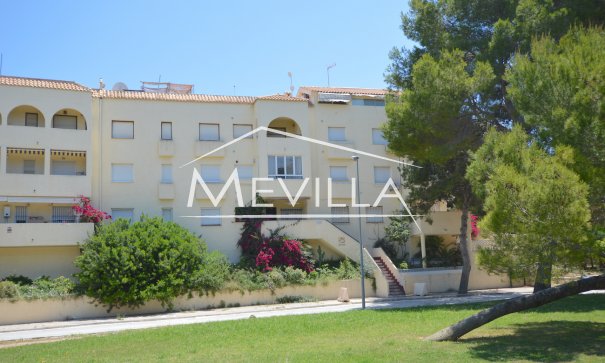 Appartement / Appartement - Verhuur - Orihuela Costa - La Zenia