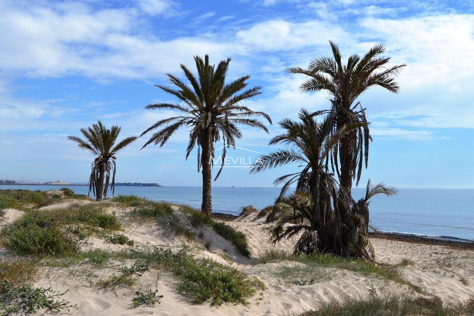 Återförsäljare -  - Mar Menor - San Pedro del Pinatar