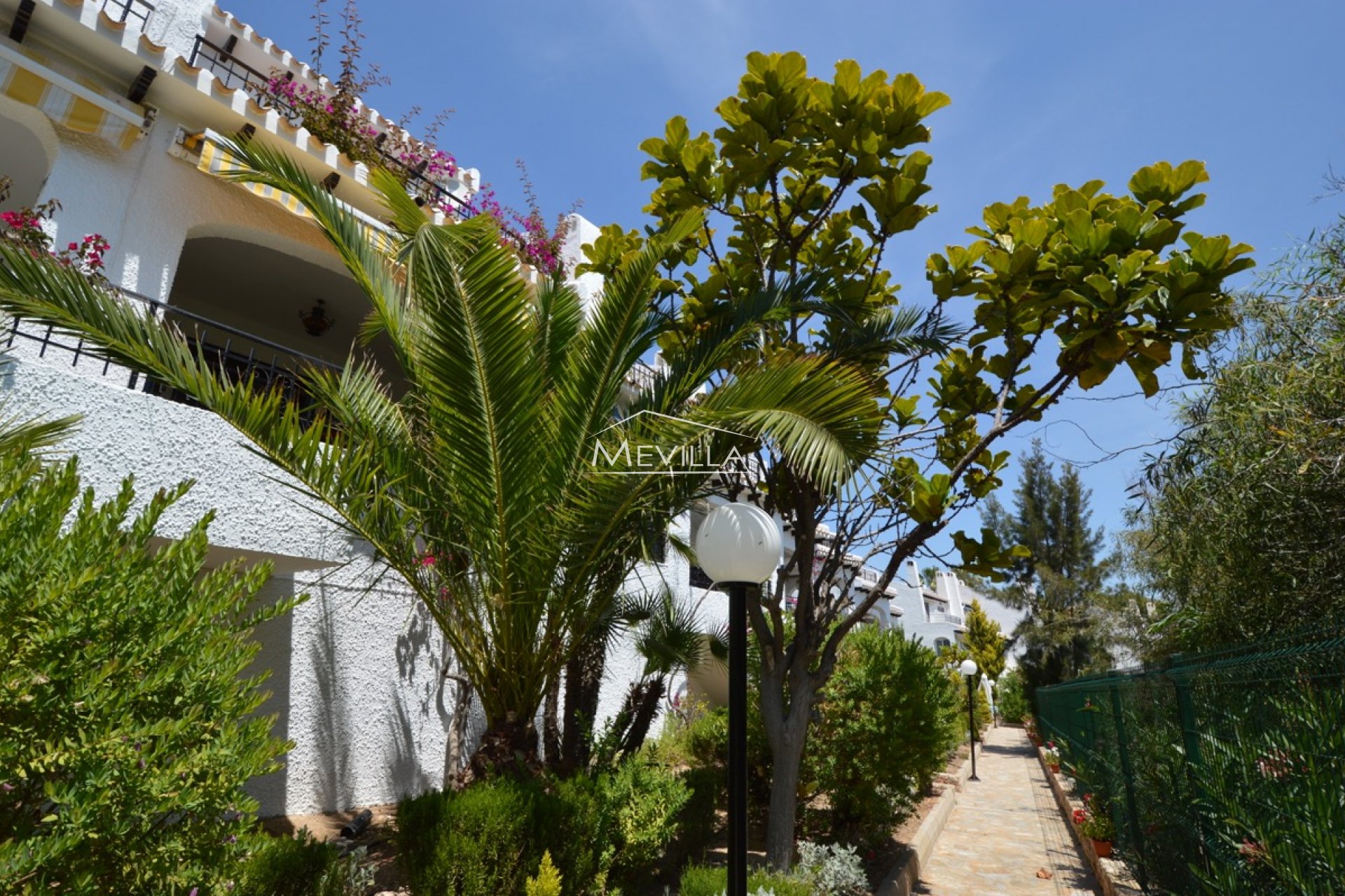 Återförsäljare -  - Orihuela Costa - Cabo Roig