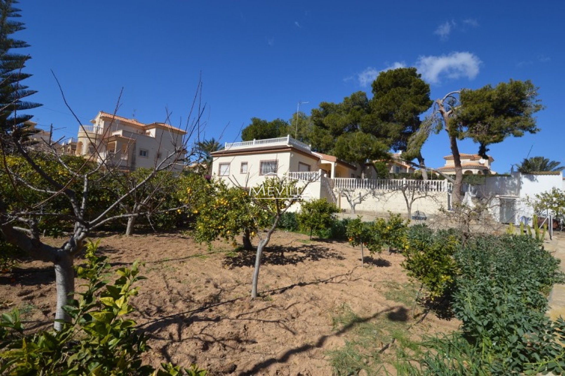 Återförsäljare -  - Orihuela Costa - Campoamor