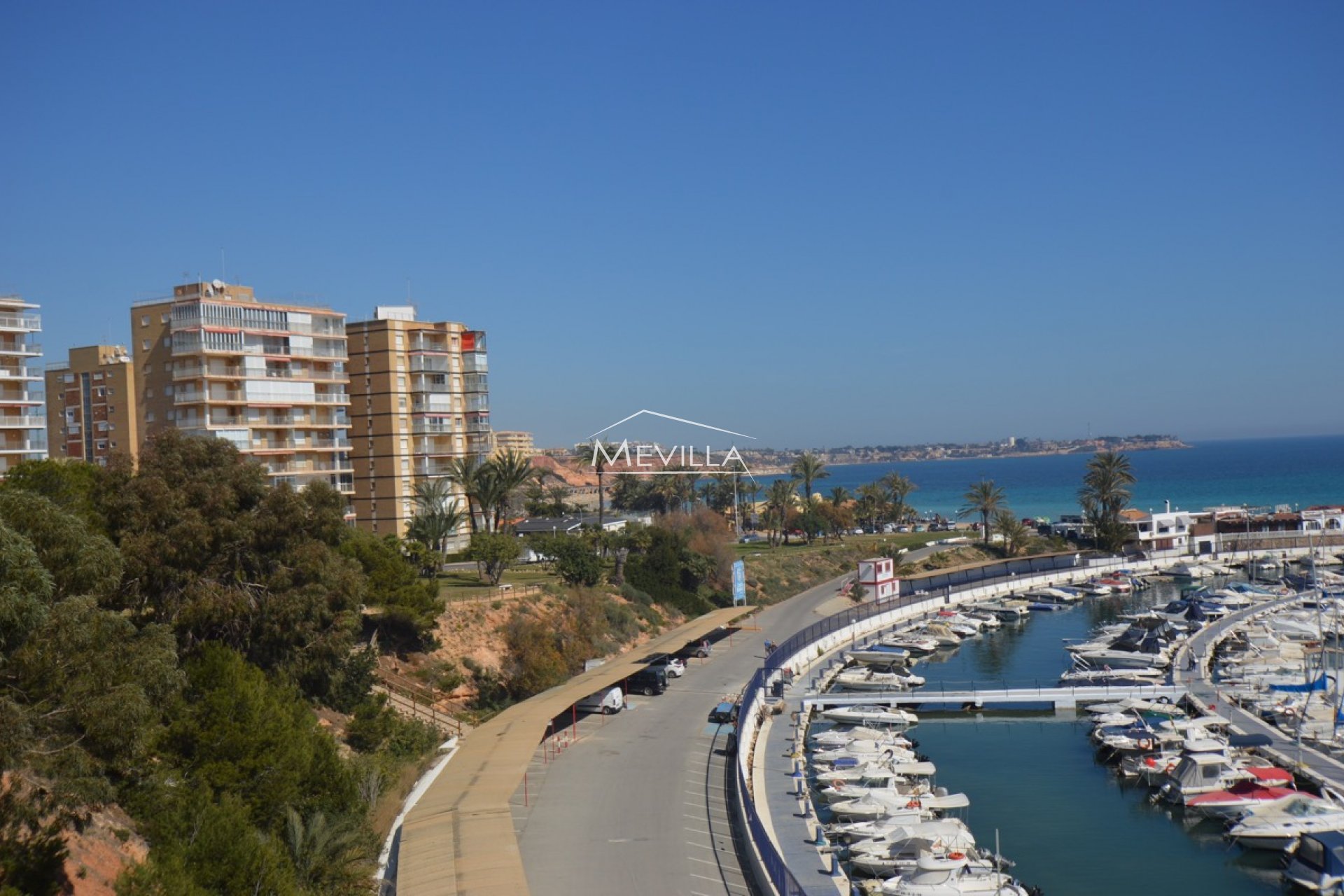 Återförsäljare -  - Orihuela Costa - Campoamor
