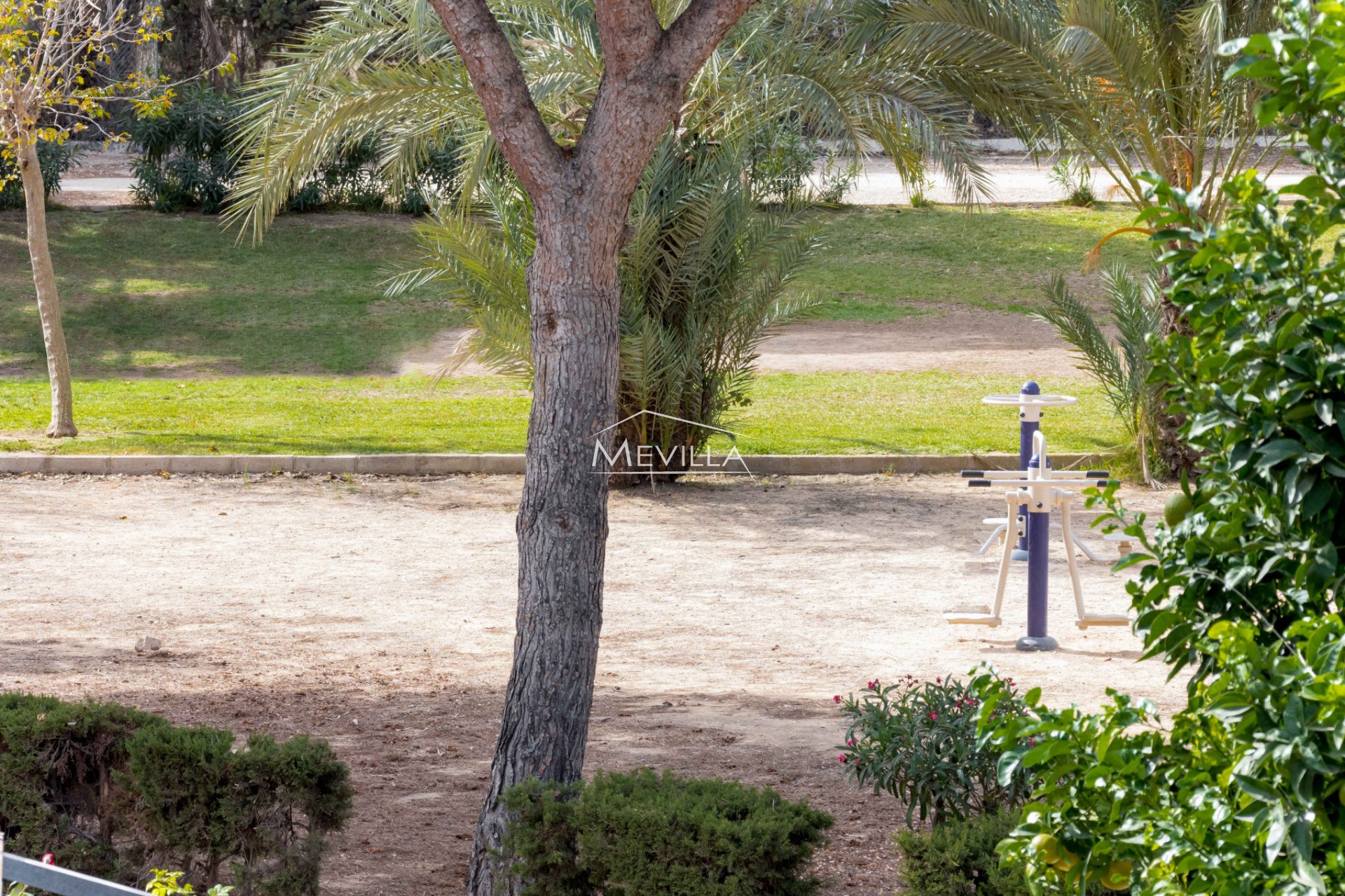 Återförsäljare -  - Orihuela Costa - La Zenia