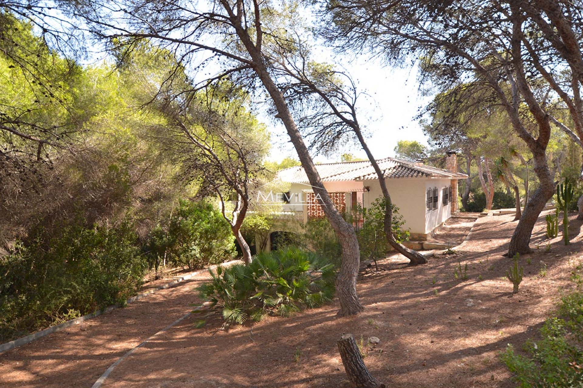 Återförsäljare - Plot - Orihuela Costa - Campoamor