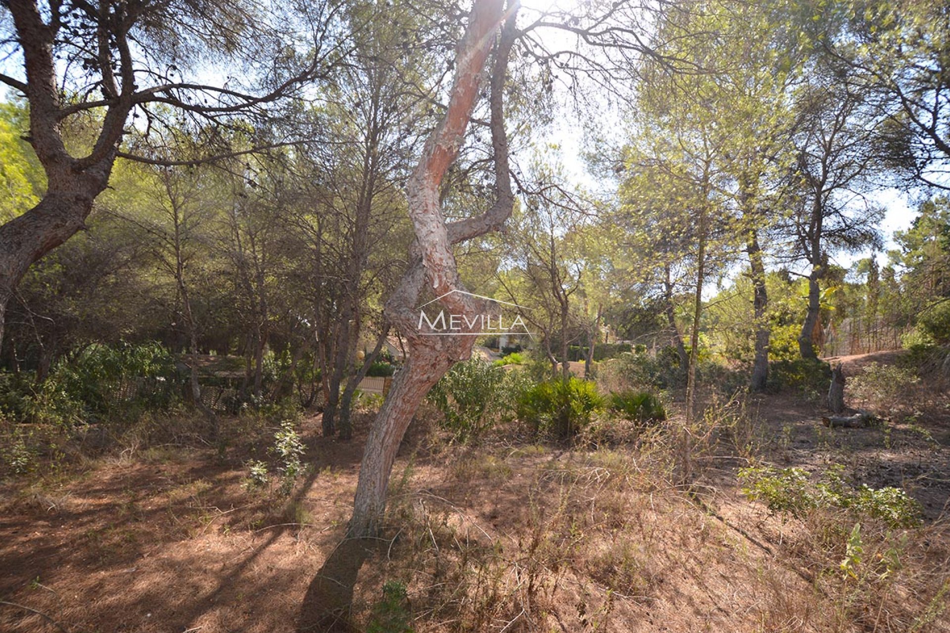 Återförsäljare - Plot - Orihuela Costa - Campoamor