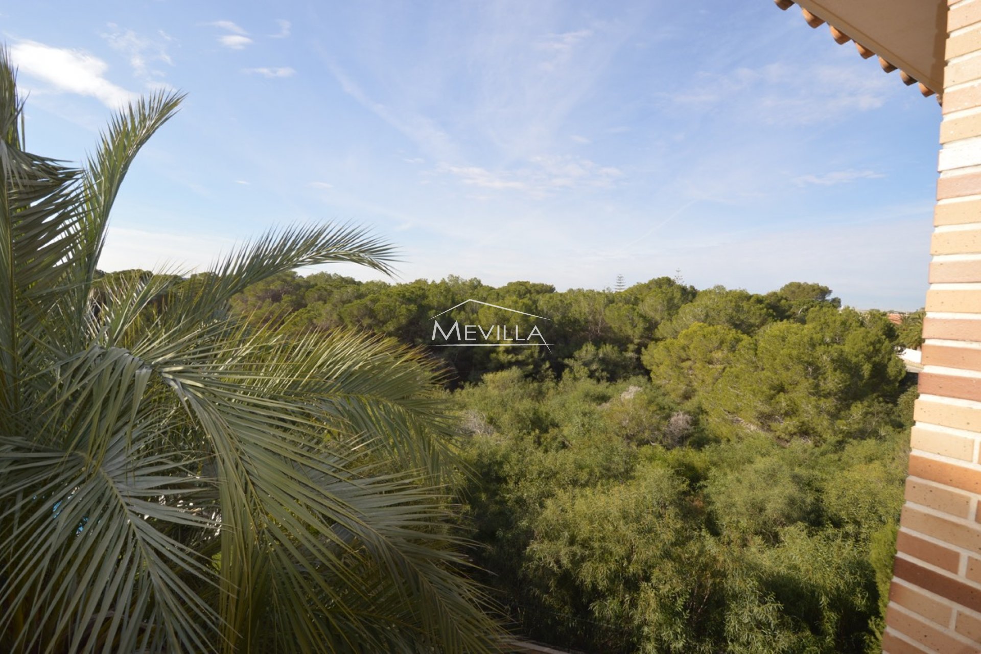 Återförsäljare - Villa - Orihuela Costa - Campoamor