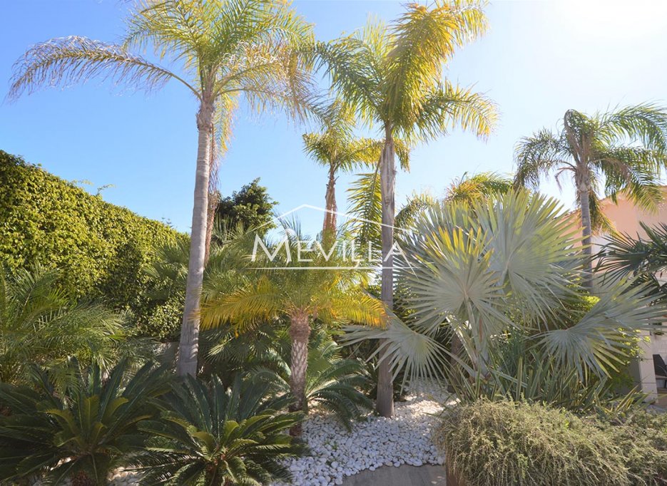 Återförsäljare - Villa - Orihuela Costa - La Zenia