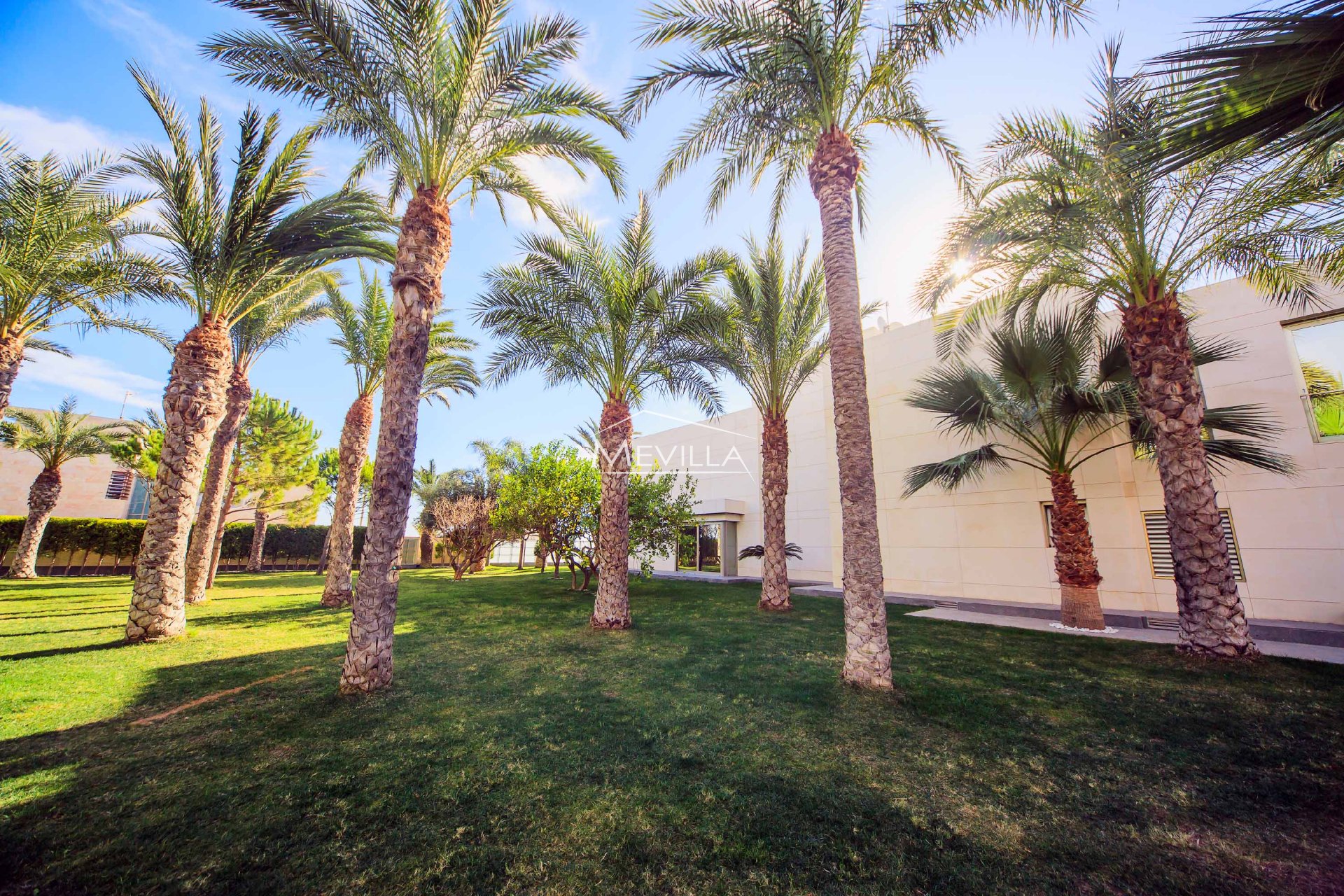 Återförsäljare - Villa - Torrevieja - La Veleta