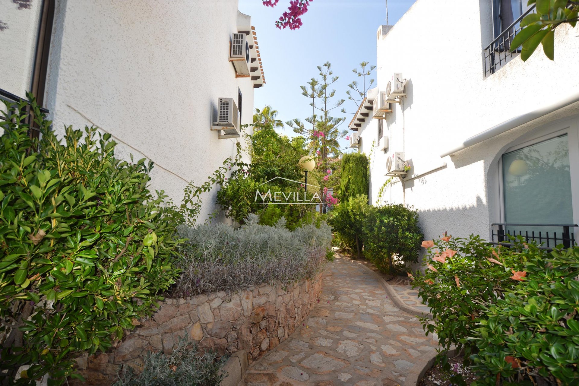 El jardin