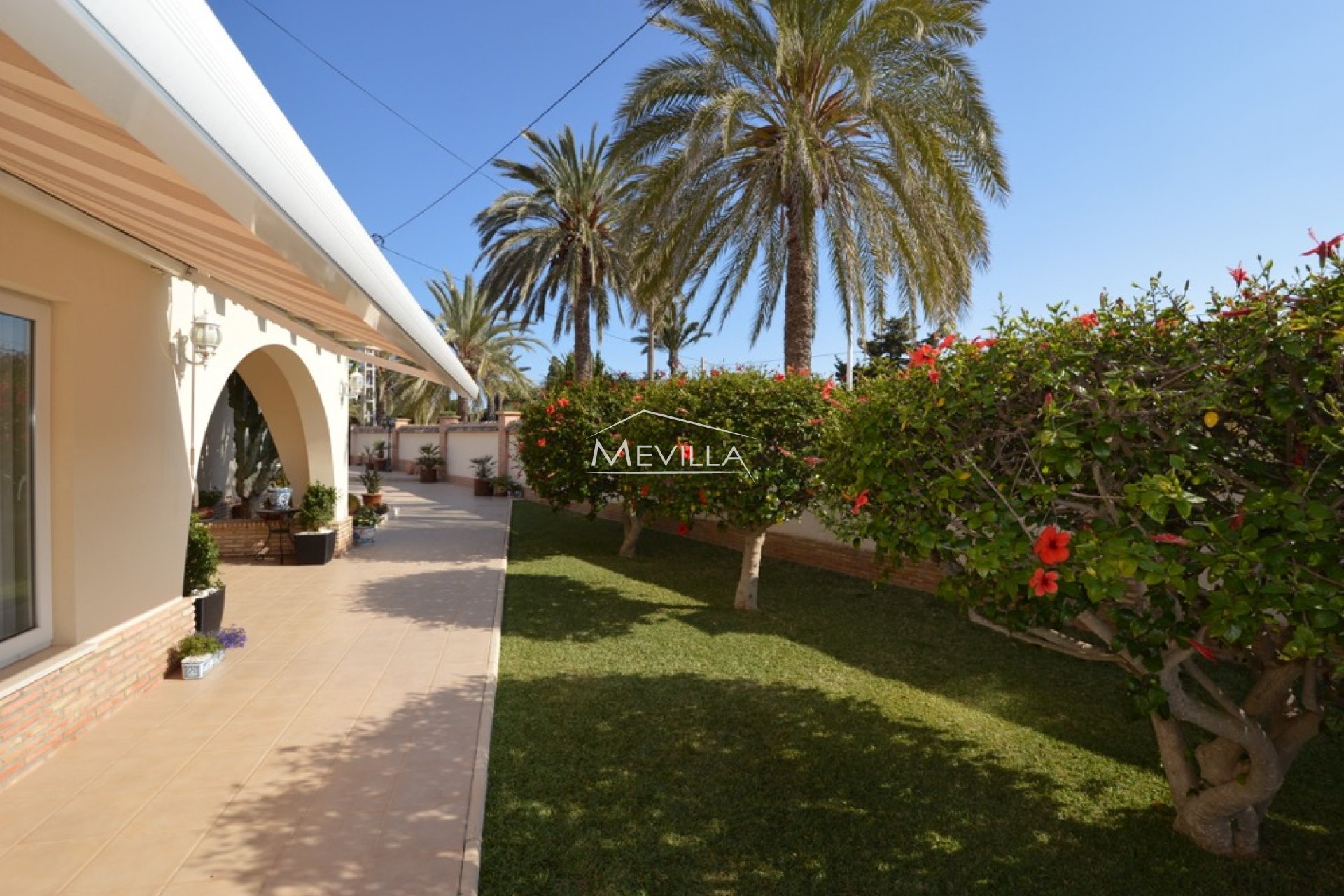 El jardin