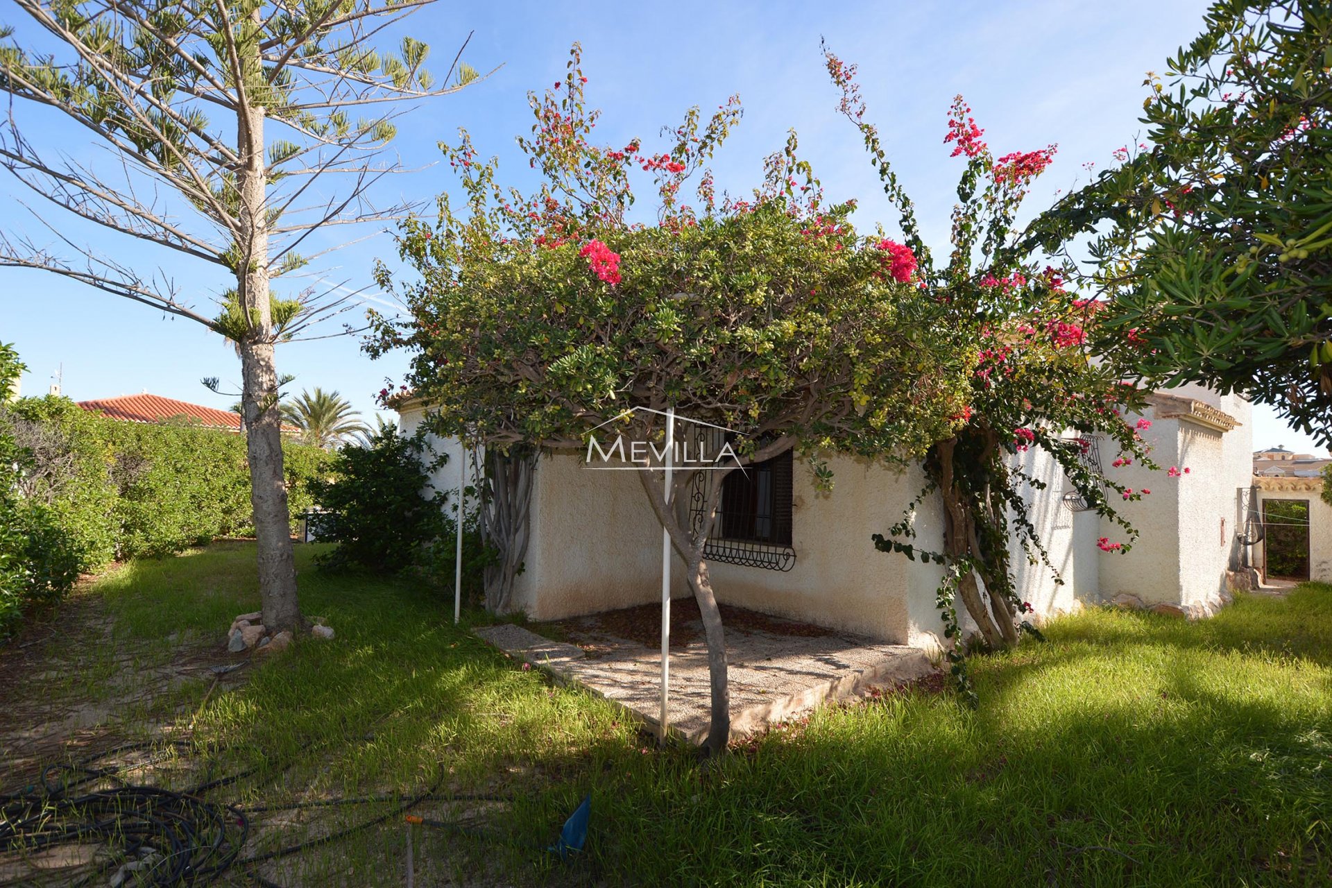 El jardin