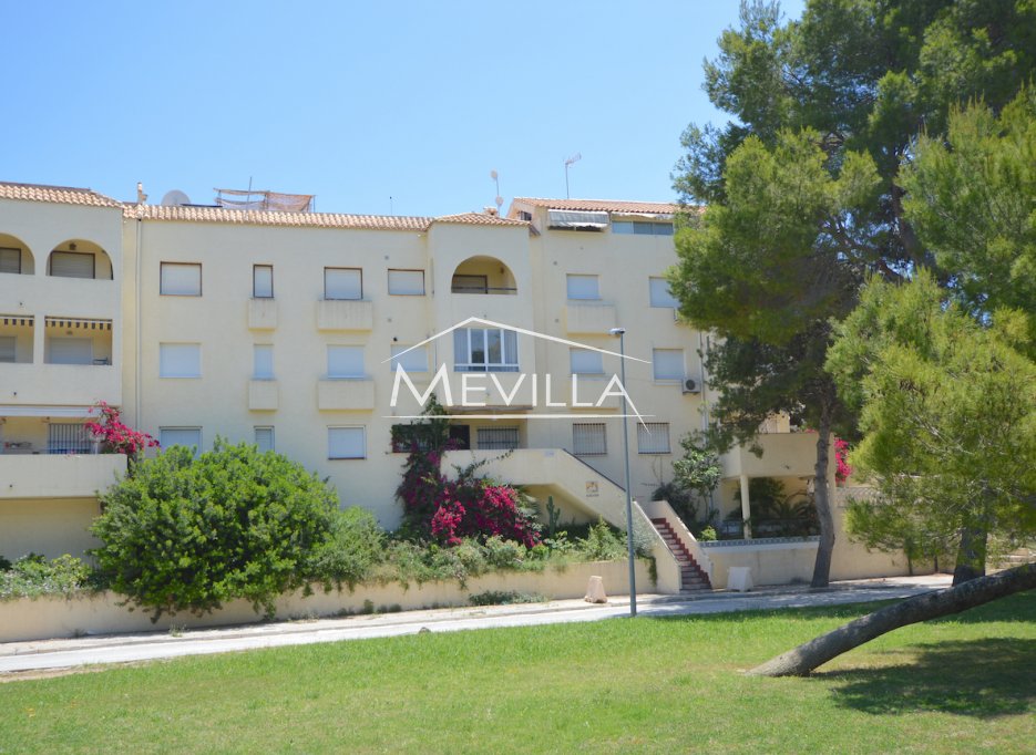 Locations - Appartement - Orihuela Costa - La Zenia