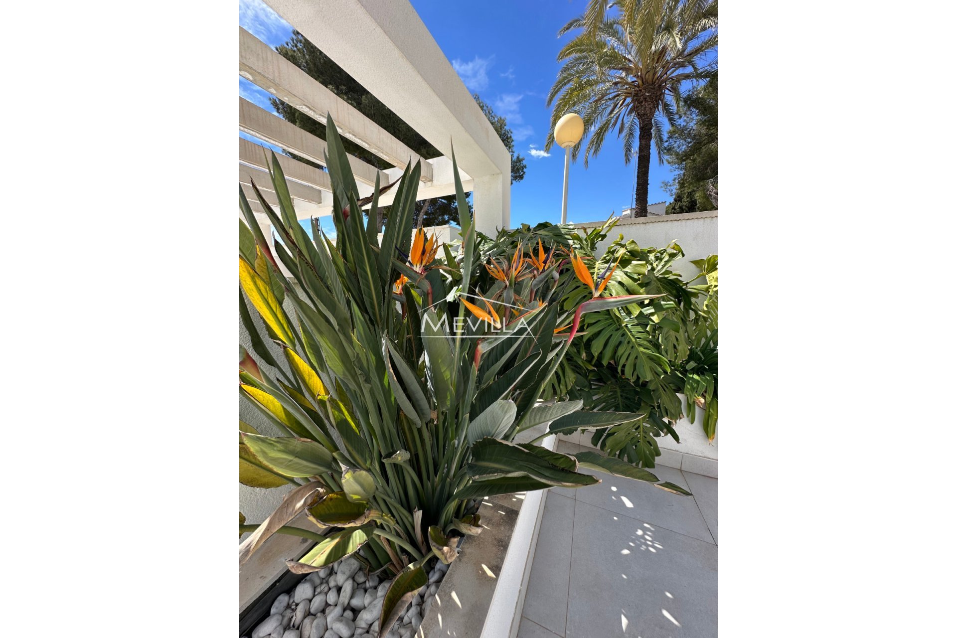Перепродажа - Вилла - Ориуэла Коста - Cabo Roig
