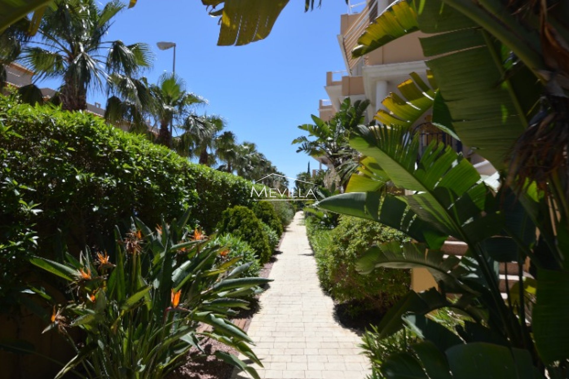 Resales - Flat / Apartment - Orihuela Costa - Cabo Roig