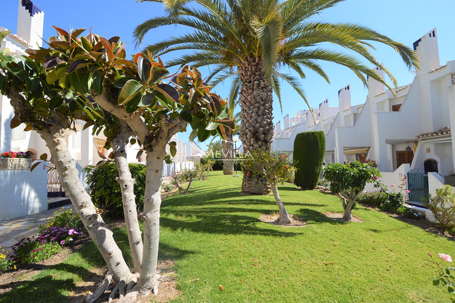 Resales - Townhouse - Orihuela Costa - Cabo Roig