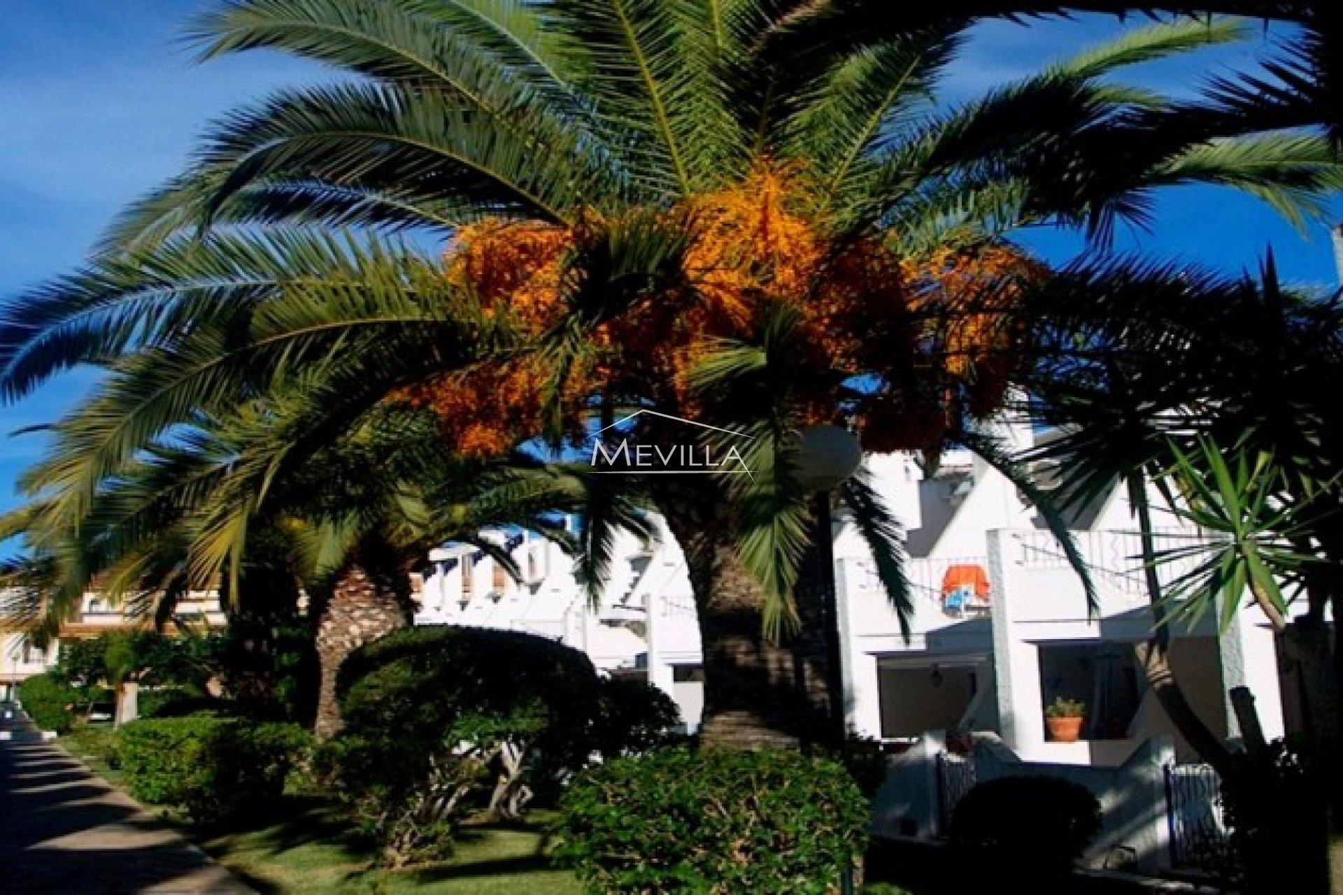 Resales - Townhouse - Orihuela Costa - Cabo Roig