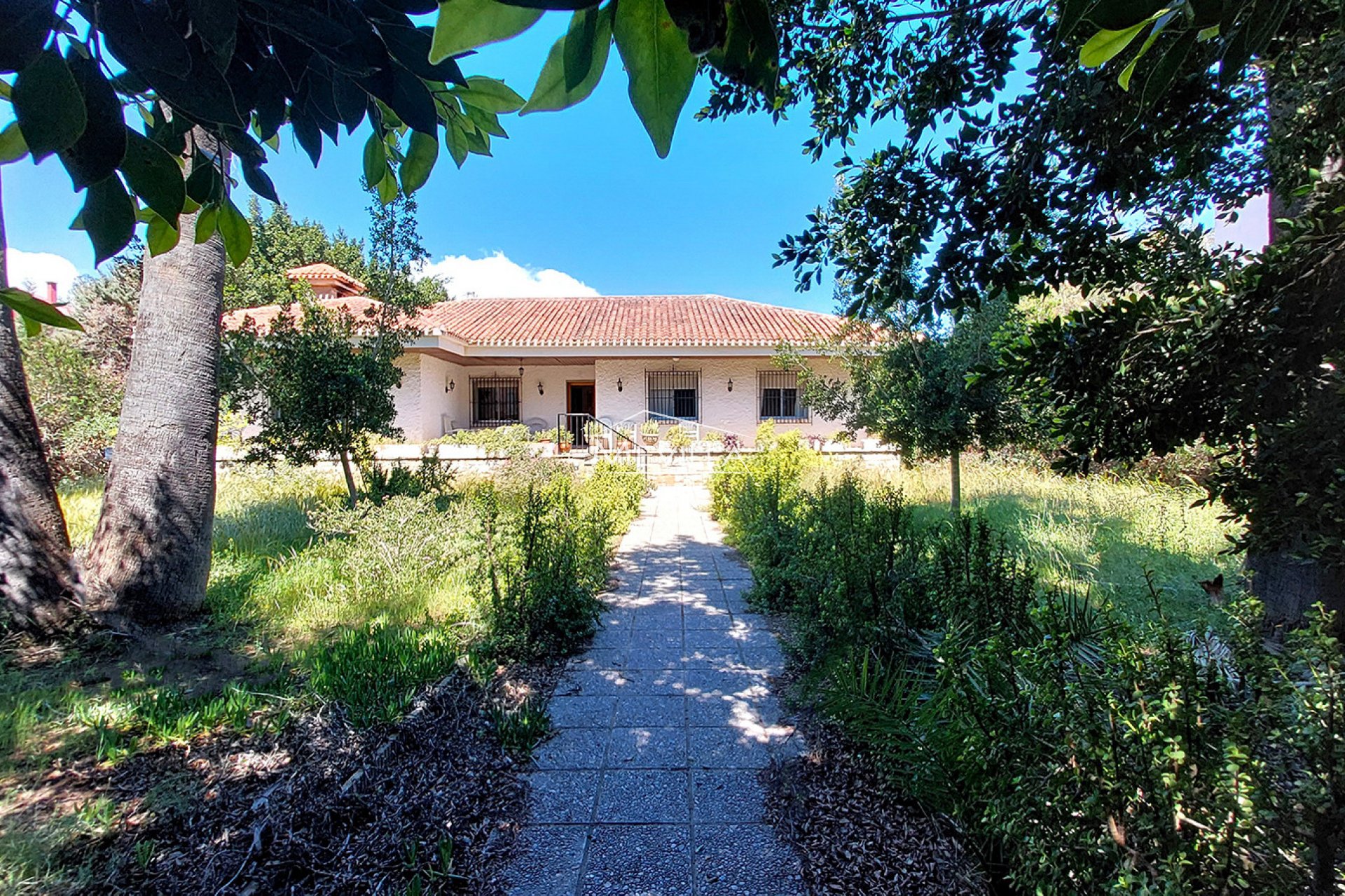 Resales - Villa - Orihuela Costa - Campoamor