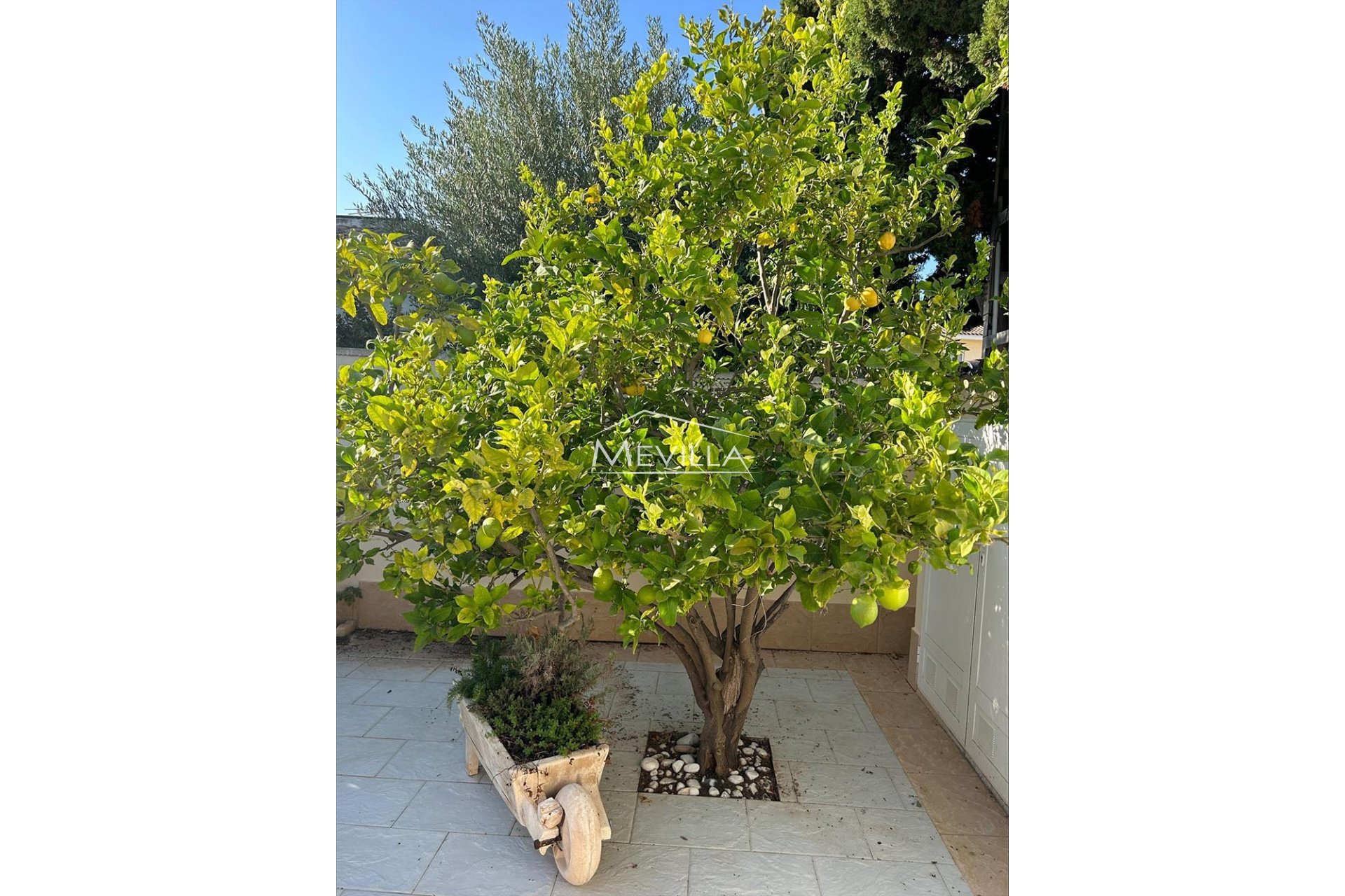 Reventas - Chalet / Villa - Orihuela Costa - Cabo Roig