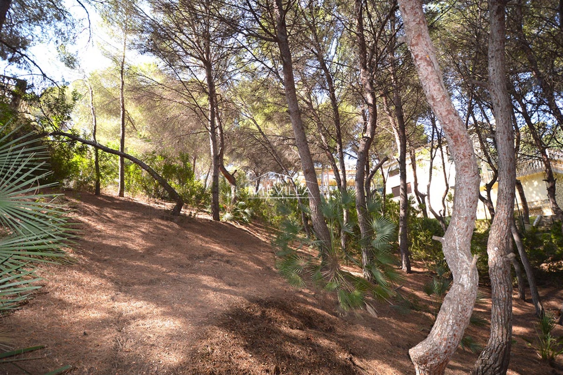 Reventes - Plot - Orihuela Costa - Campoamor