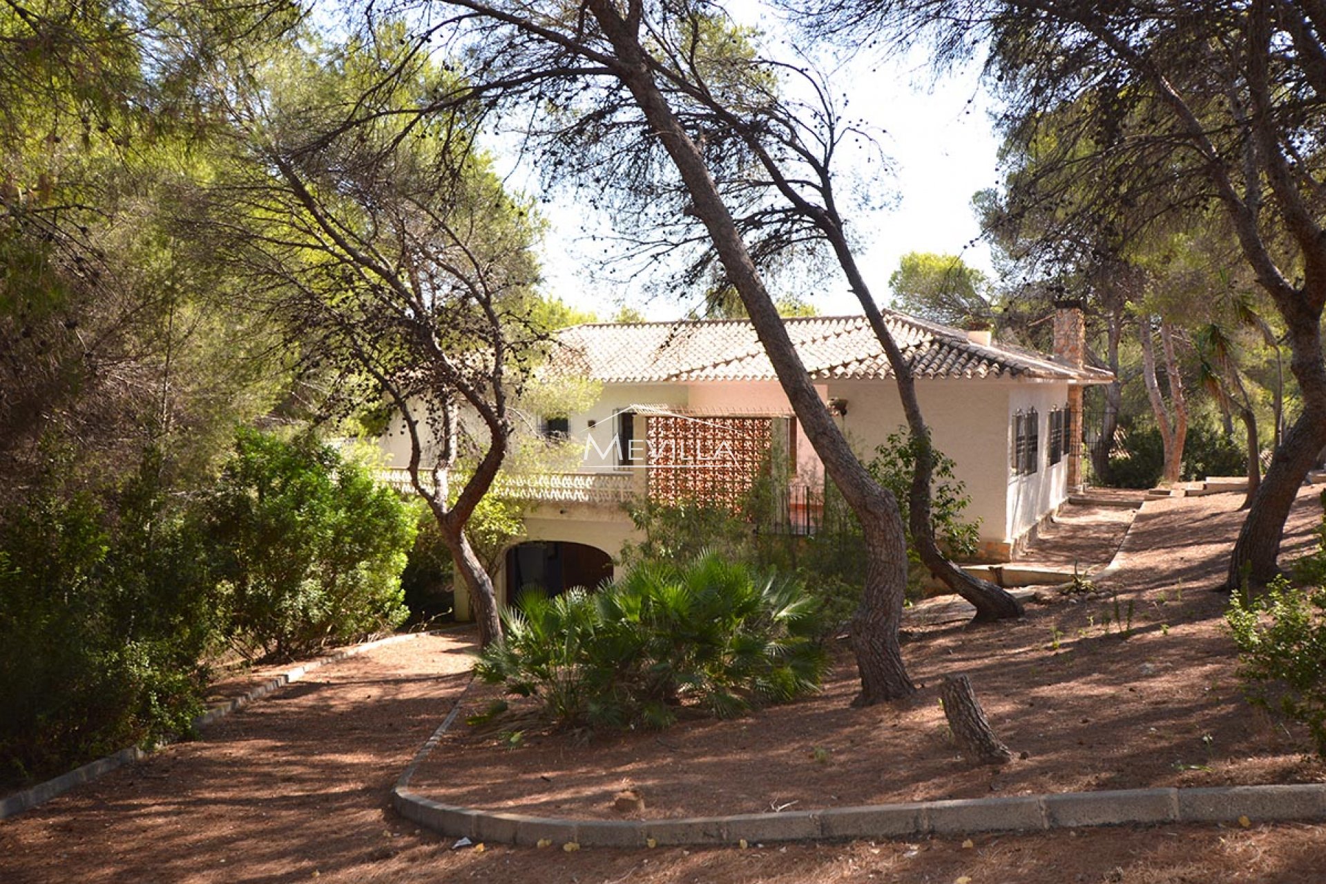 Reventes - Plot - Orihuela Costa - Campoamor