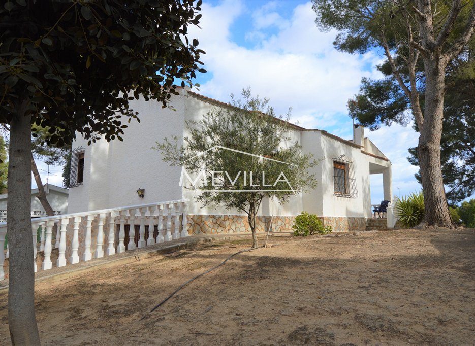 The villa in Los Balcones