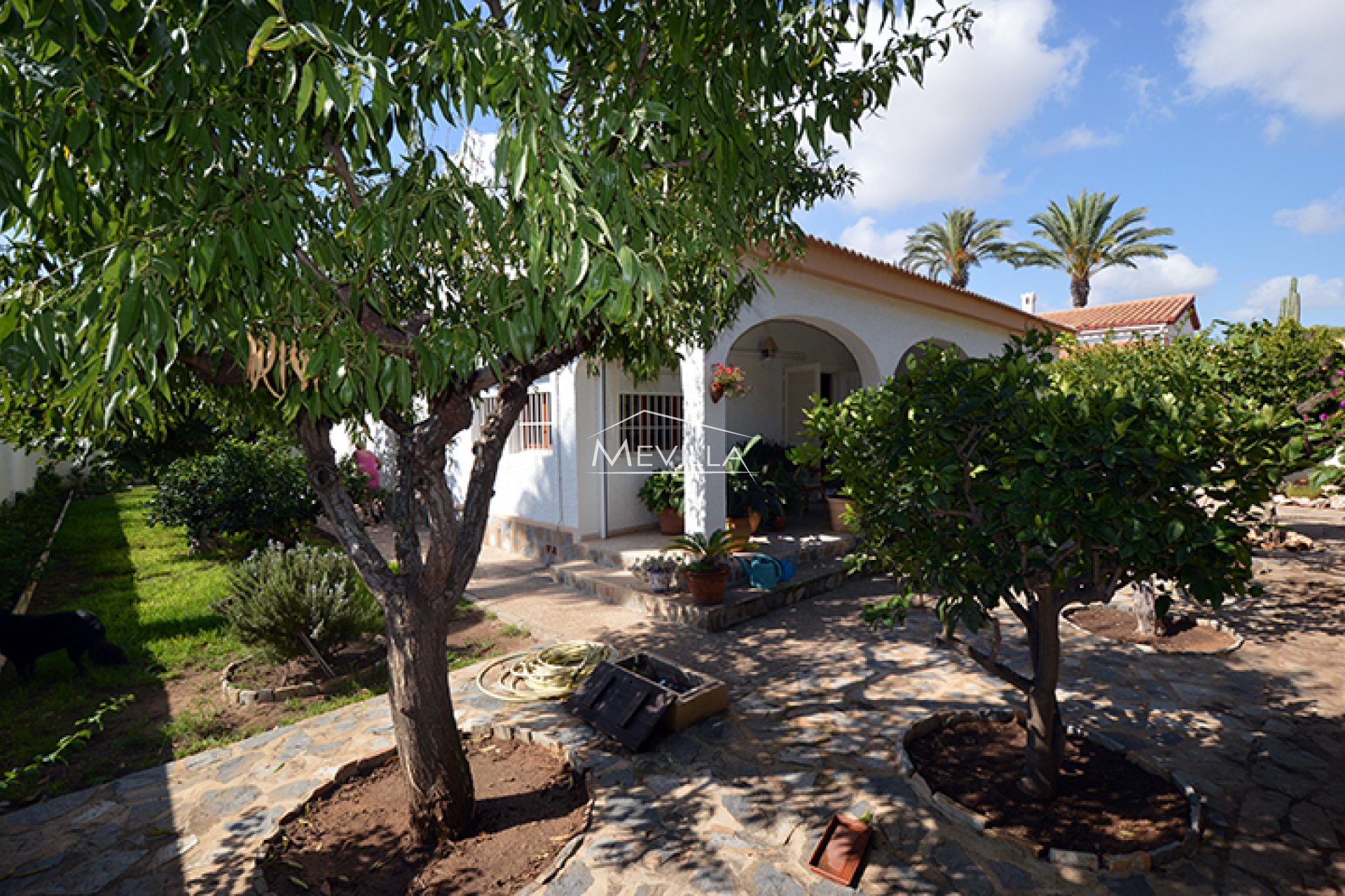 The villa with garden 