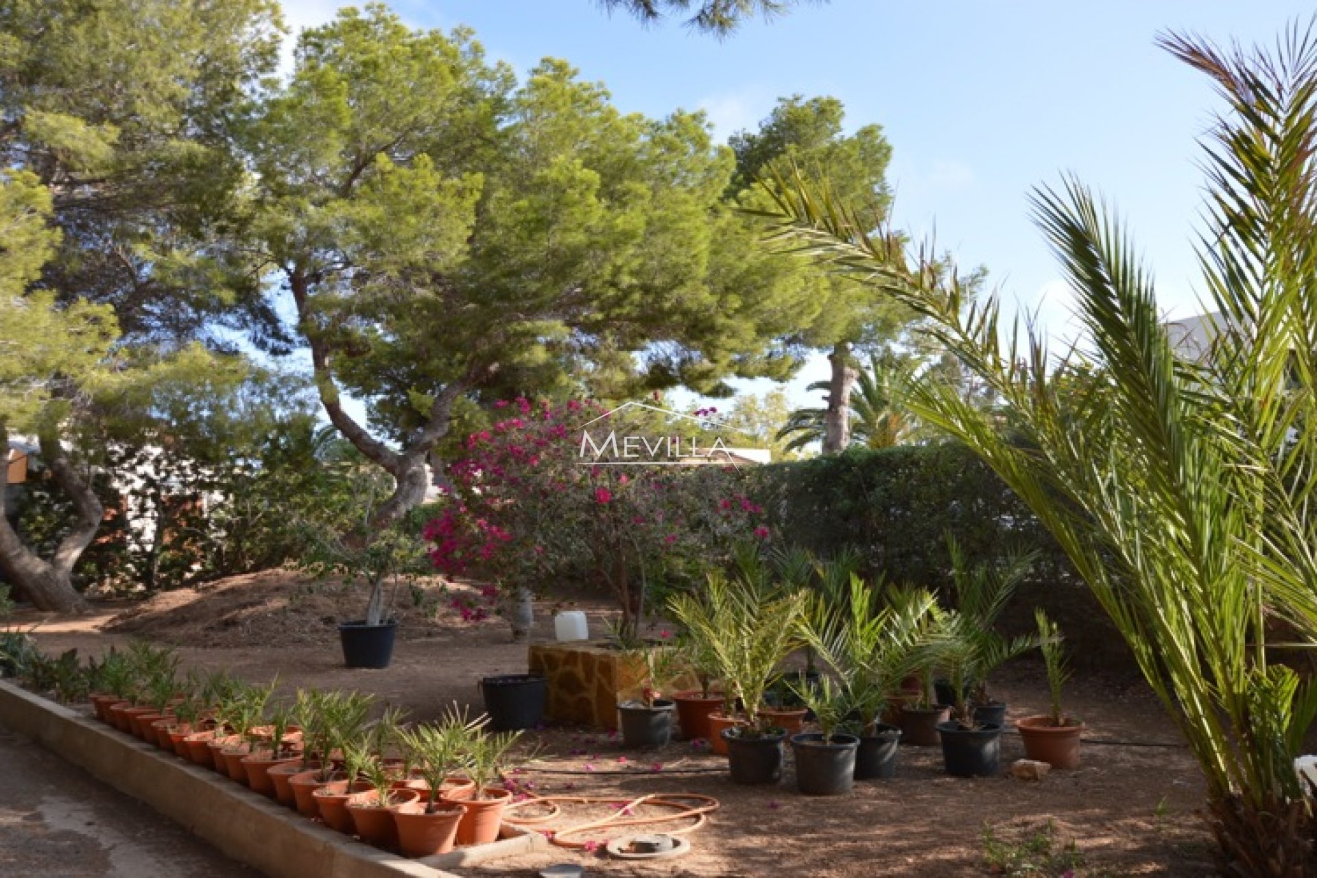 Wederverkoop - Villa - Orihuela Costa - Campoamor