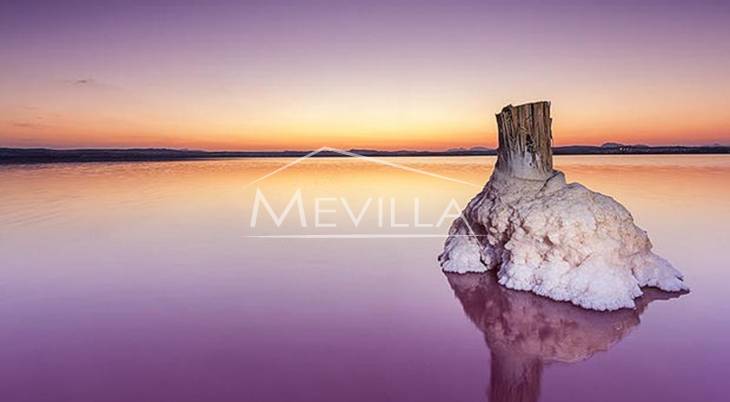 The torrevieja lagoons The torrevieja lagoons