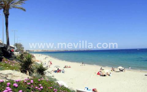 MIL PALMERAS - ORIHUELA COSTA - COMPLETE GUIDE