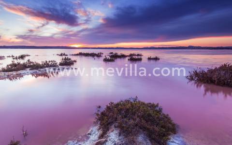 TORREVIEJA, COSTA BLANCA - COMPLETE GUIDE 