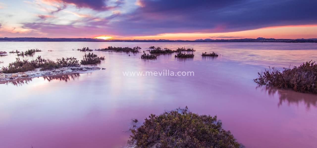 <strong>TORREVIEJA, COSTA BLANCA - COMPLETE GUIDE </strong>