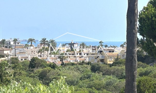 Rentals - Villa - Orihuela Costa - Cabo Roig