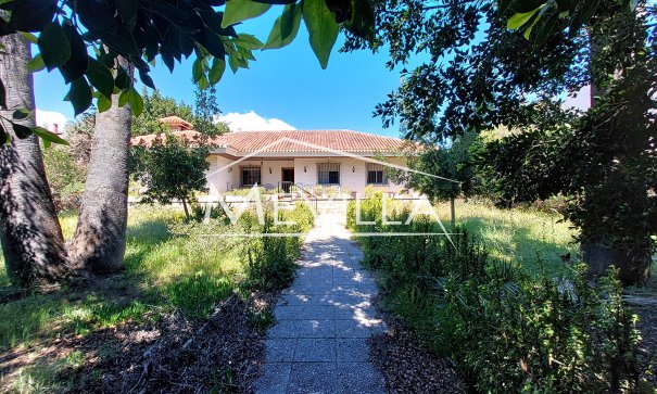 Resales - Villa - Orihuela Costa - Campoamor