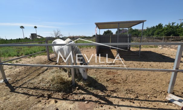Neubauprojekte - Villa - Guardamar / Ciudad Quesada / La Marina - Ciudad Quesada